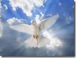 dove holy spirit