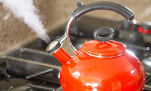 Greenhouse-effects_89530a