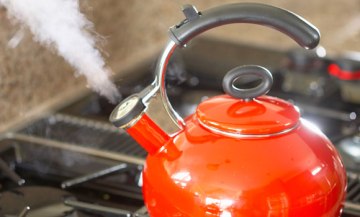 Greenhouse-effects_89530a